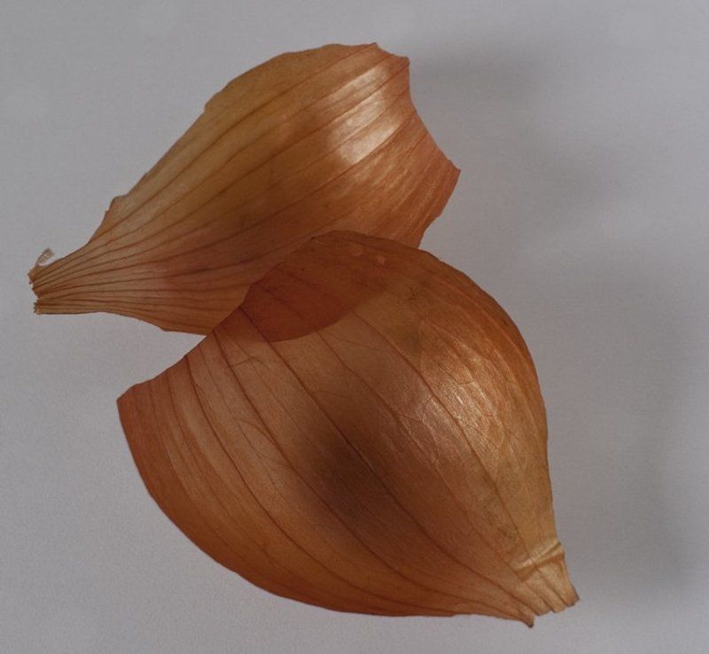 Untitledphoto preview