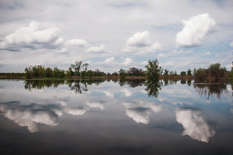 Симметрия photo preview