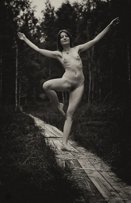 Дорожкаphoto preview