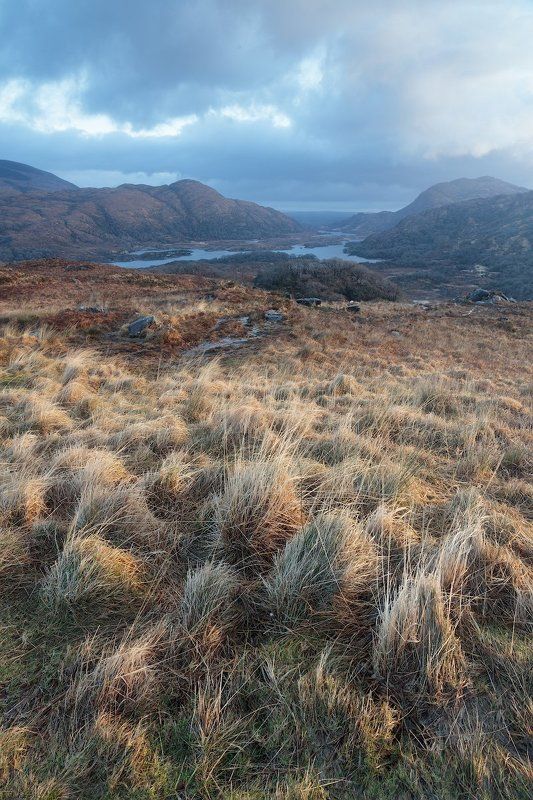 Ladies Viewphoto preview