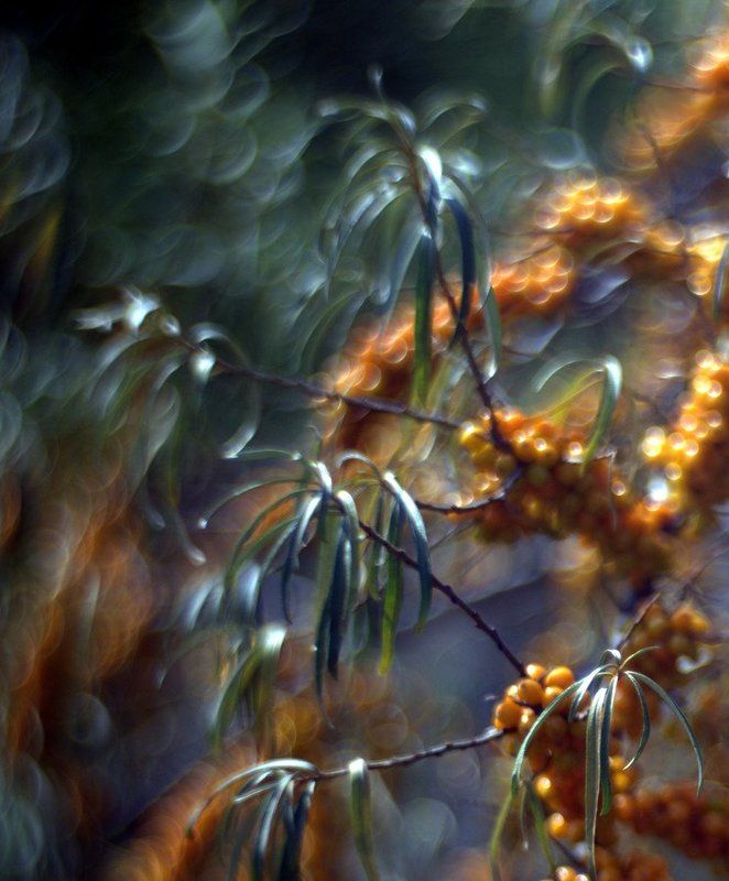 линии, пятна, природа, цвет, свет Durnopyanphoto preview