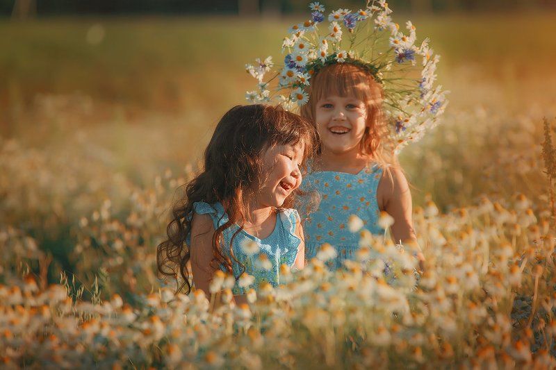 Ромашкиphoto preview