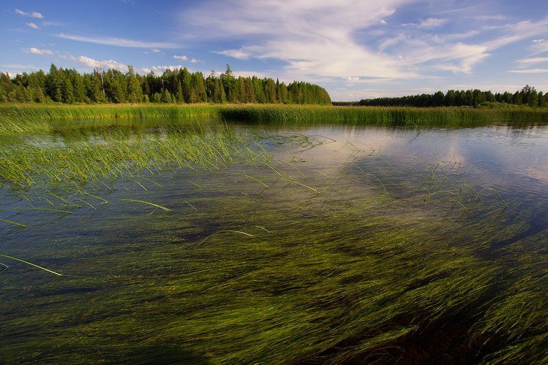 ********photo preview