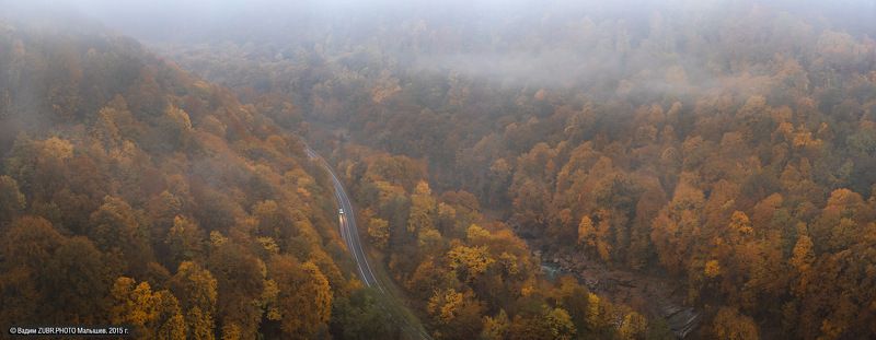 Одинокий утренний странникphoto preview