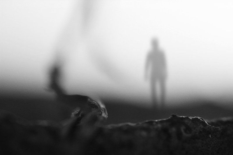 Untitledphoto preview