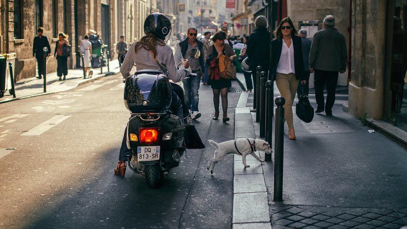 париж, подвезла, попудчик, улица Спасибо за то, что подвезла старичка!)photo preview