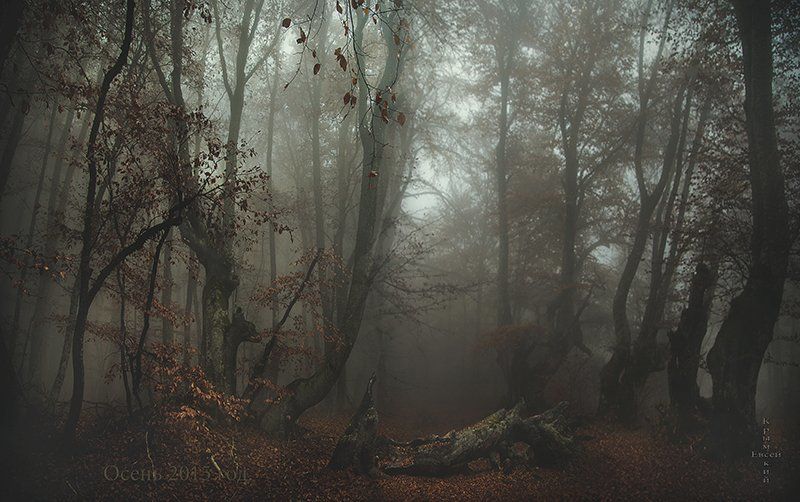 Крым. фото превью