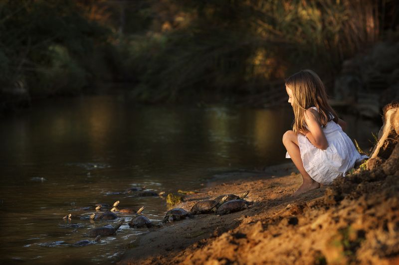 Там где живут черепахиphoto preview