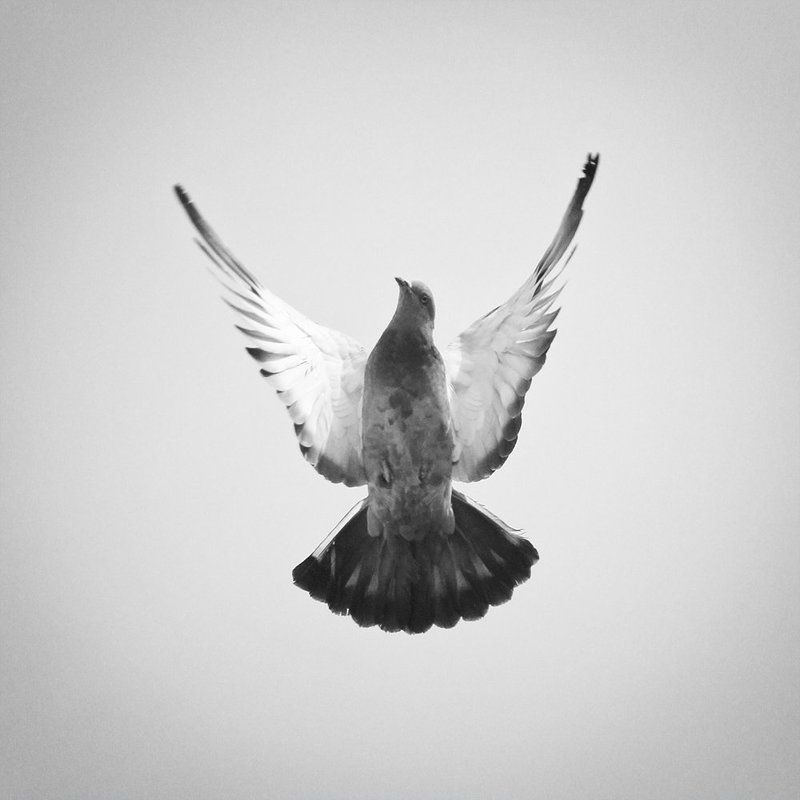 abstract, concept,  Untitledphoto preview