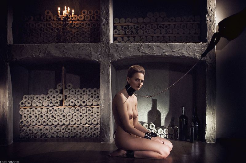 My Favorite Toyphoto preview