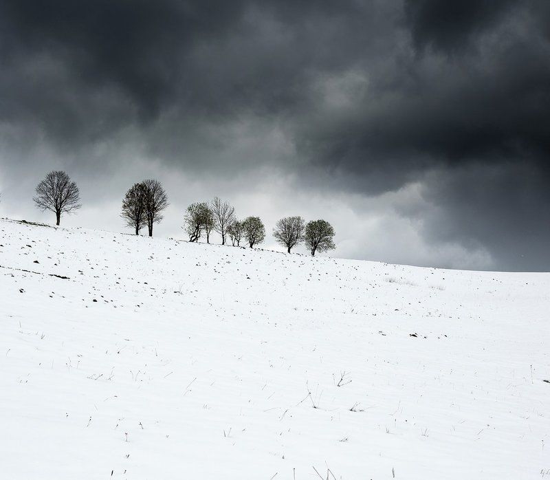 Карпатская лаконичностьphoto preview