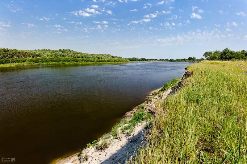 Десна...photo preview