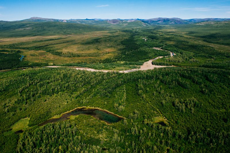 северный олень, чукотка ***photo preview