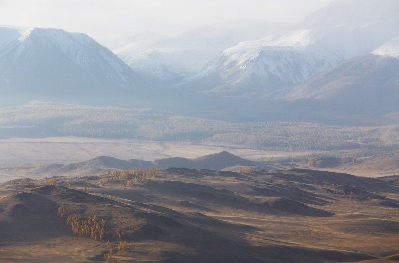 КУРАЙ.photo preview