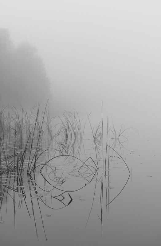 туман, озеро, силуэт, черно-белый Туманное утро.photo preview