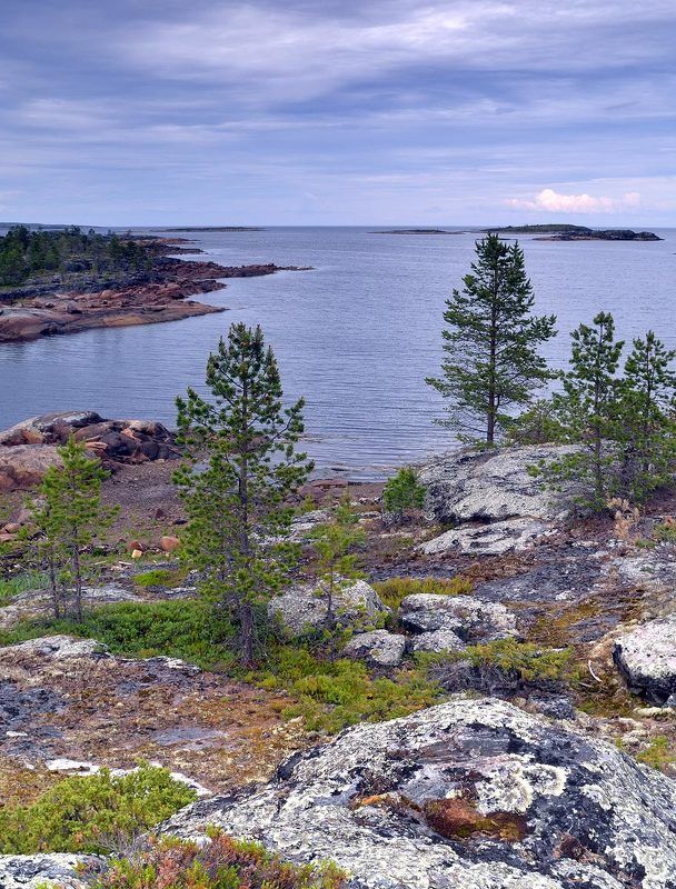 Белое море, июнь.photo preview