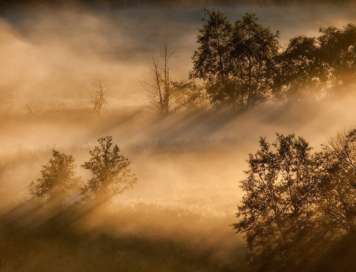 , Владимир Перепечаев