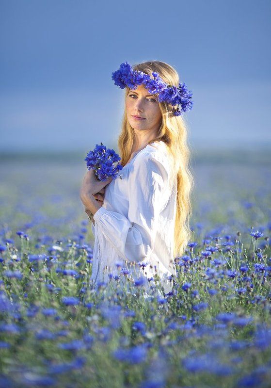 Васильковое поле фото превью