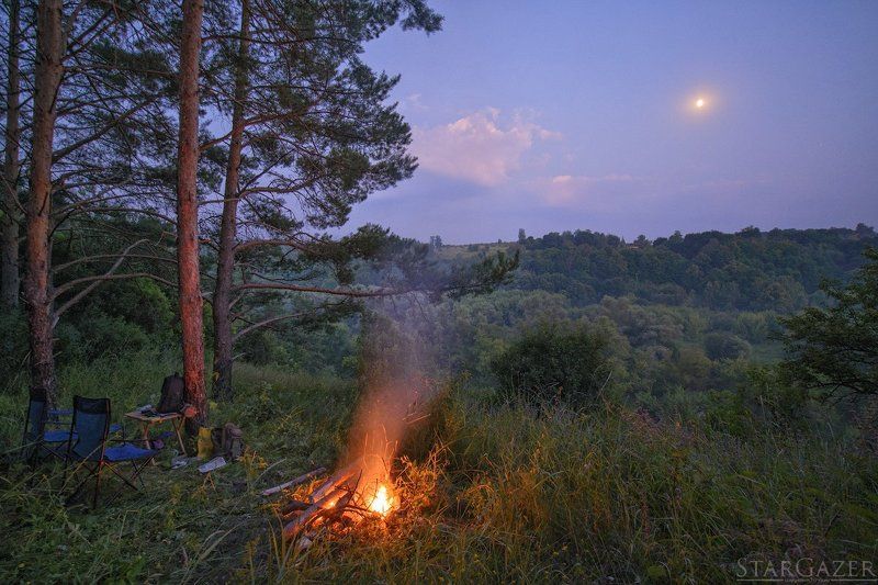 На краю сосновой рощиphoto preview