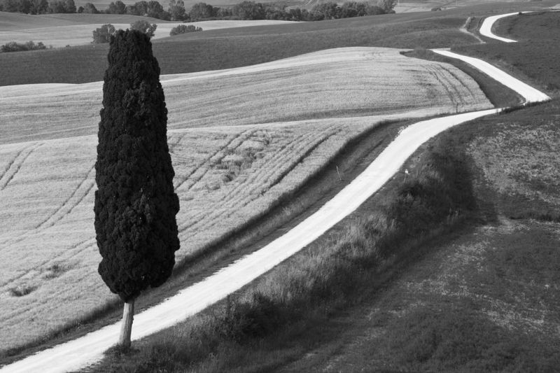 Long way backphoto preview