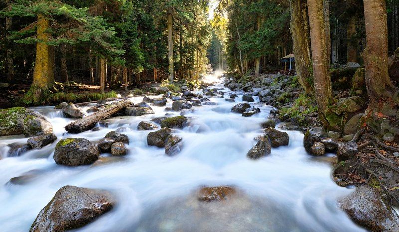 Муруджуphoto preview