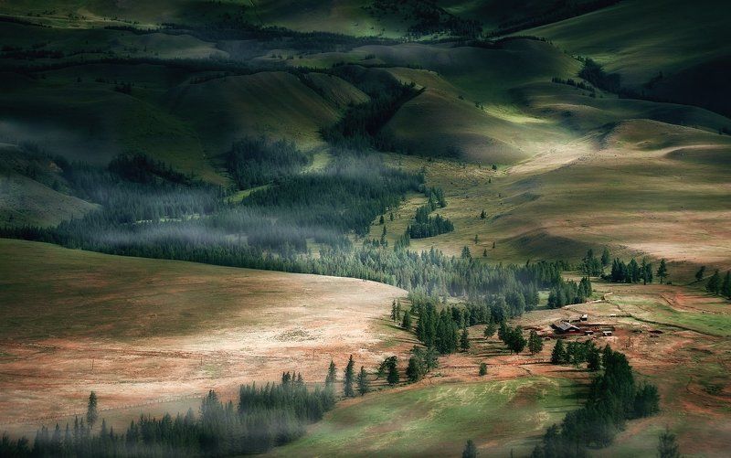 Altai mountains, Алтай, Горы, Курай, Лес, Лето, Свет, Степь, Ферма В отрогах Курайского хребтаphoto preview