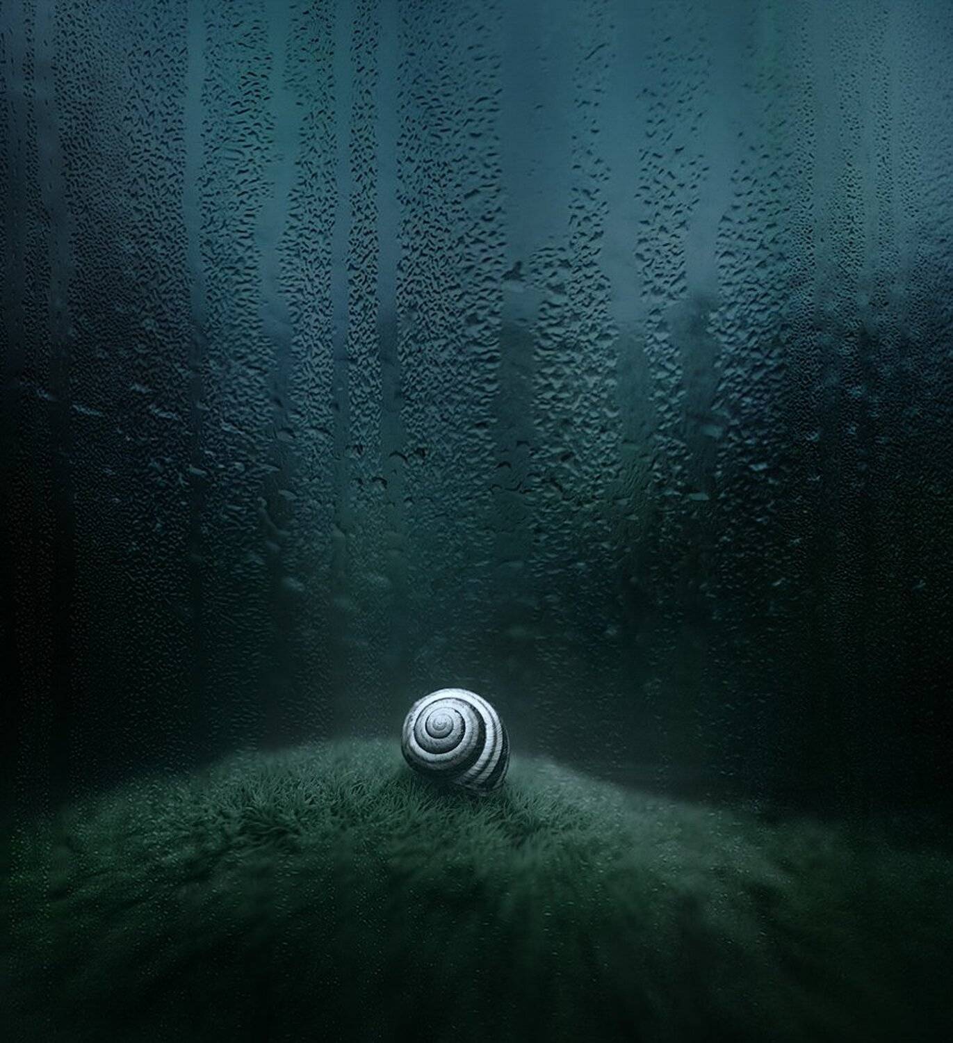 Broken Air. Автор: Александр Чорный Коростышев, Макро, Макро истории, Макро мир, Макро фото, Макро Чорный, Александр Чорный