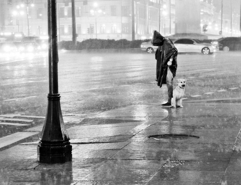 прогулка фото превью