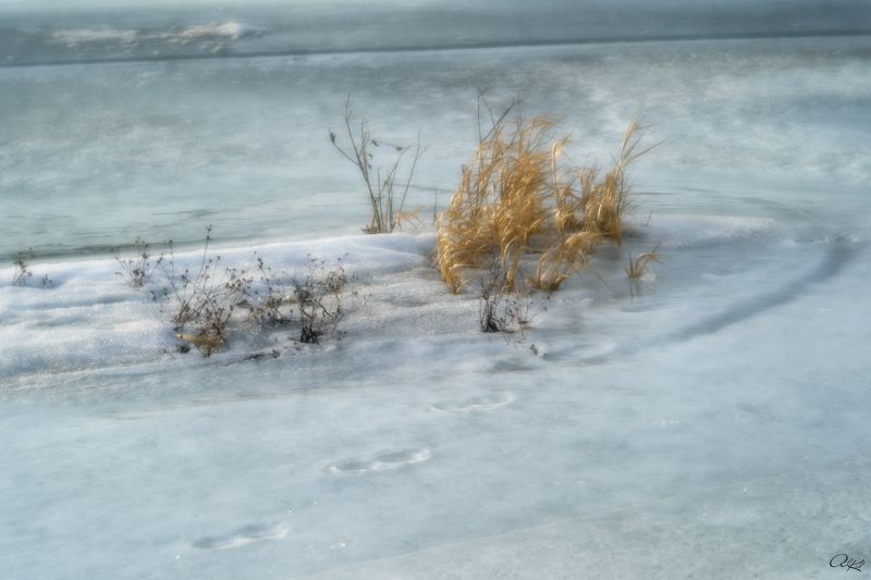 Рисунок карандашомphoto preview