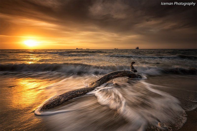 пробуждение дняphoto preview