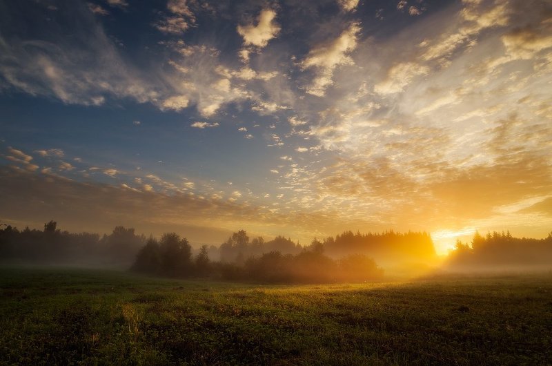 Clouds, Field, Fog, Forest, Mist, Sky, Summer, Sunrise, Trees Misty summer morningphoto preview