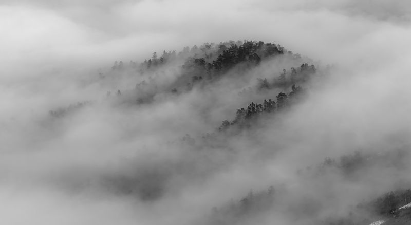 ЭТОТ ЁЖИК В ТУМАНЕphoto preview