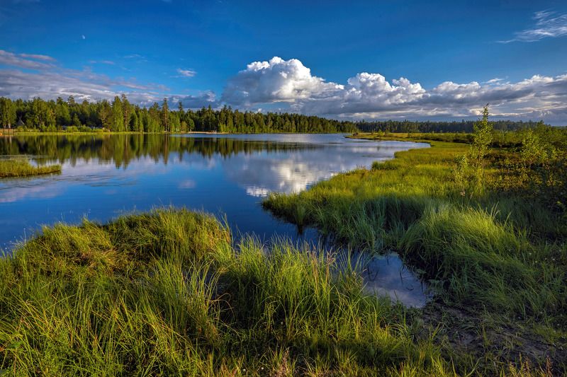 **** фото превью