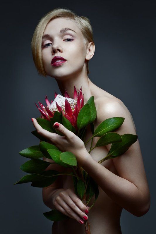 Protea madibaphoto preview