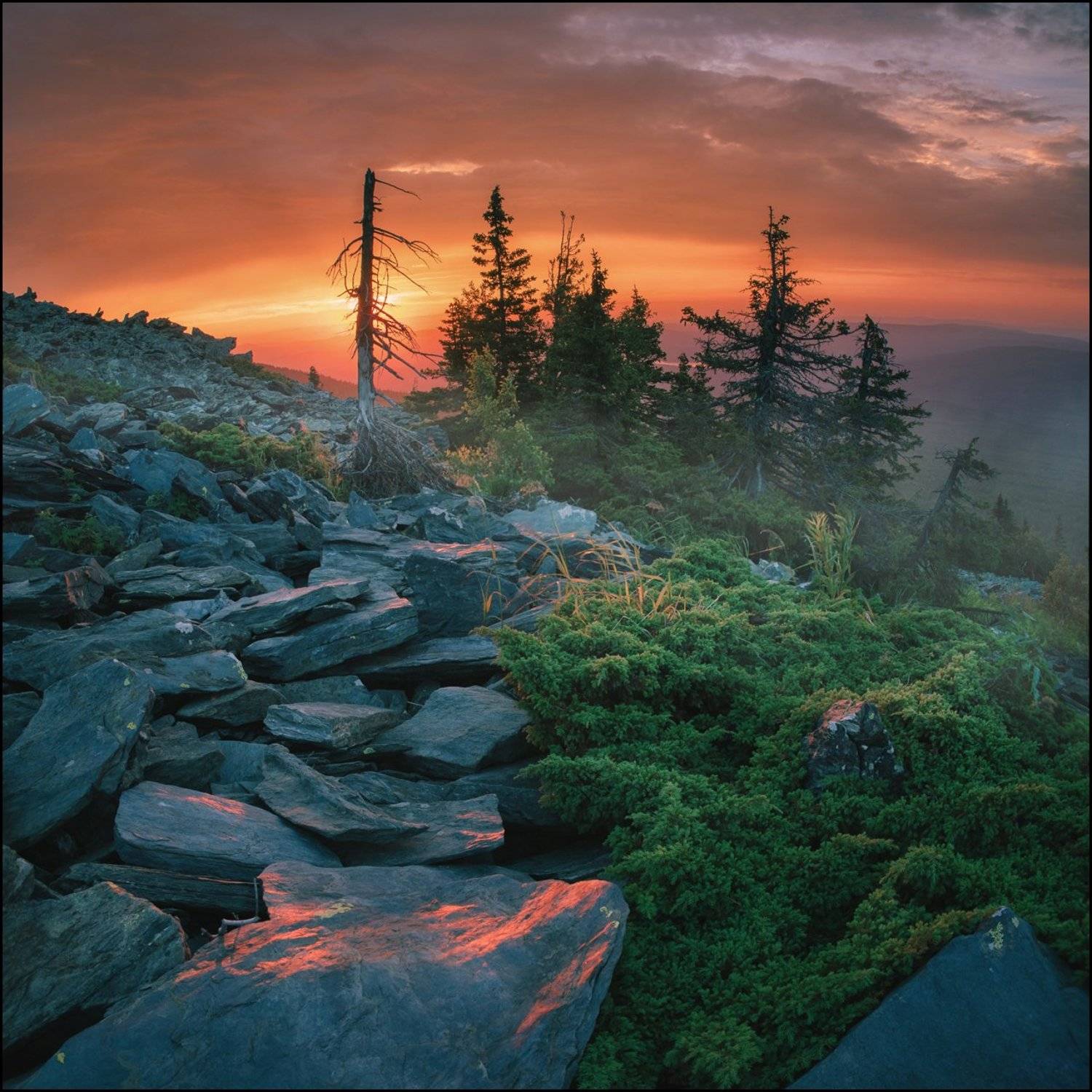 ***. Автор: Илья Бисеров Горы, Рассвет, Илья Бисеров