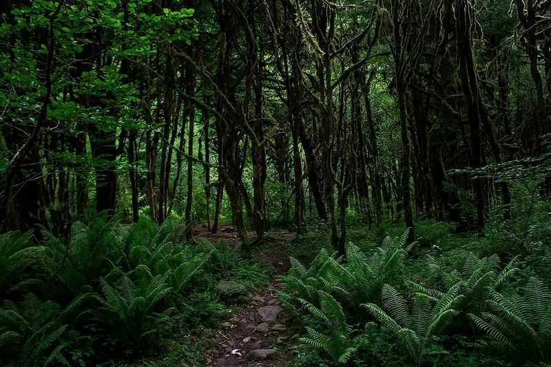 море абхазия горы небо пейзаж закат путешествия отдых  Самшитовые рощиphoto preview