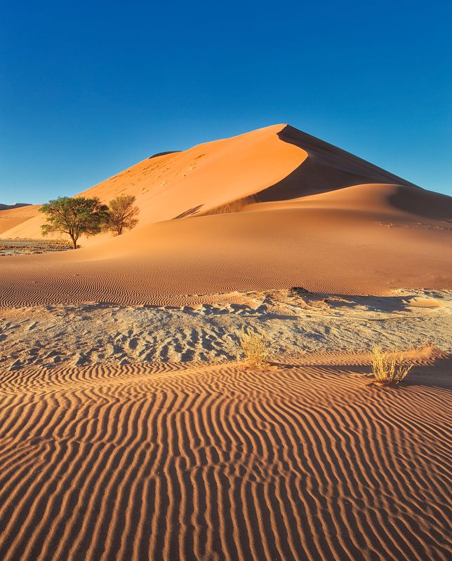 sossusvlei, dunesnamib-naukluft national park, sesriem, namibia, #loveafrica, mc #loveafricaphoto preview