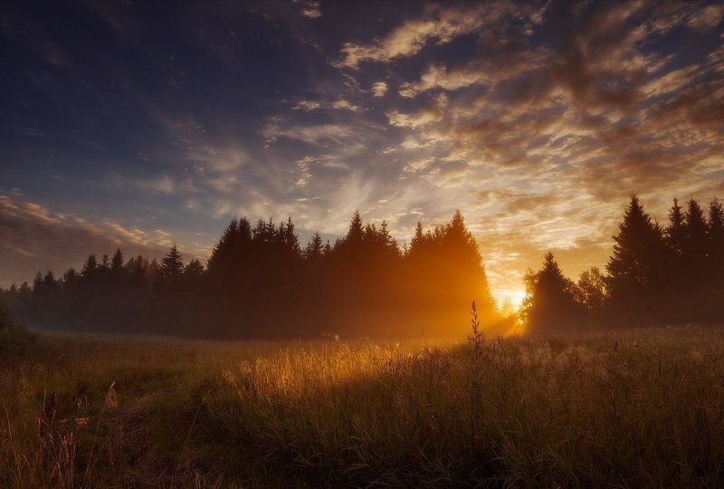 Clouds, Forest, Light, Meadow, Mist, Morning, Summer, Sunrise The day beginsphoto preview