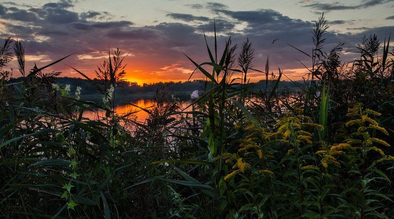 Подмосковье, Купавна, Лето Спадающий жарphoto preview