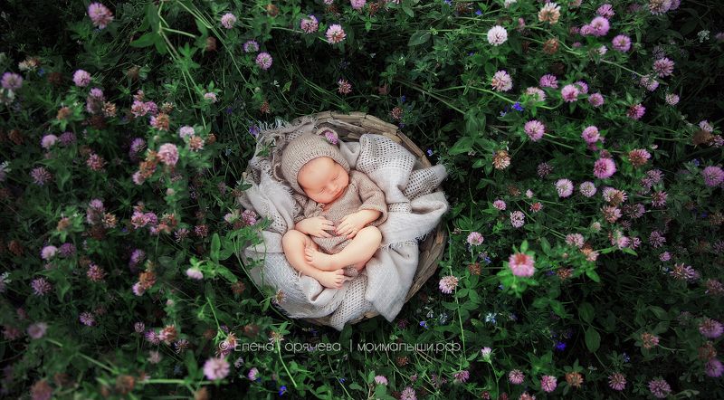 новорожденные, счастье, любовь, фотографноворожденных пусть все подождетphoto preview