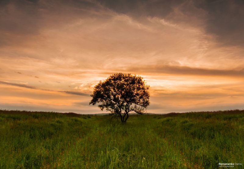 Пленник полейphoto preview