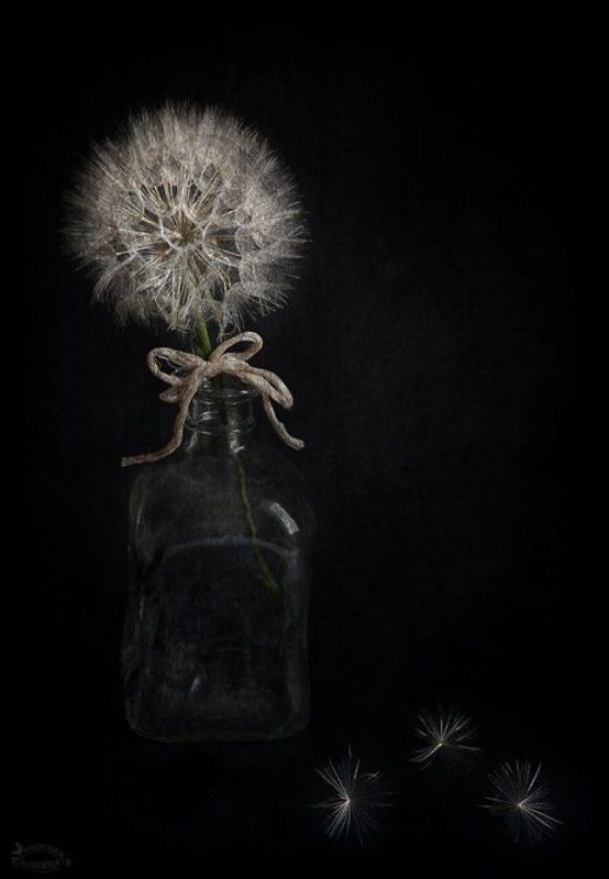 Chwile ulotnephoto preview