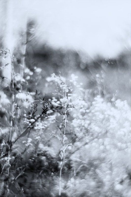 природа, легкость, настроение, линии, пятна lightnessphoto preview