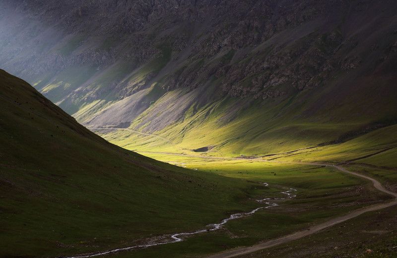 Chon - Ashuuphoto preview