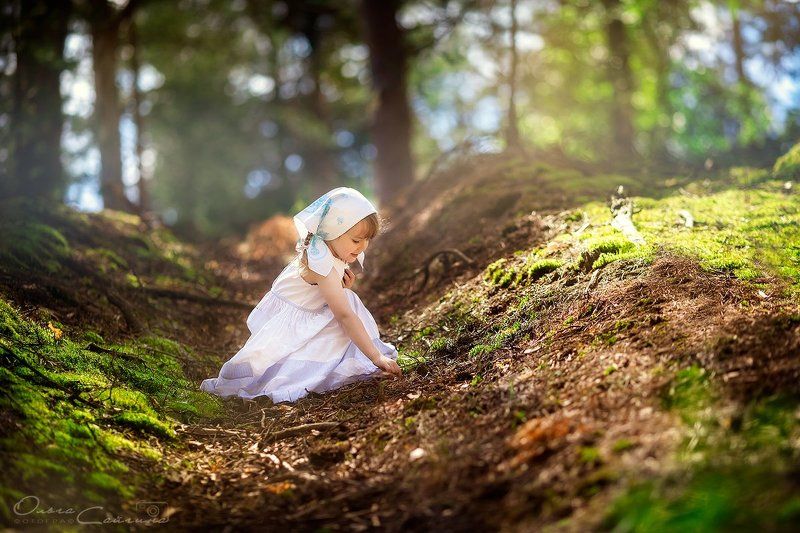 в лесуphoto preview