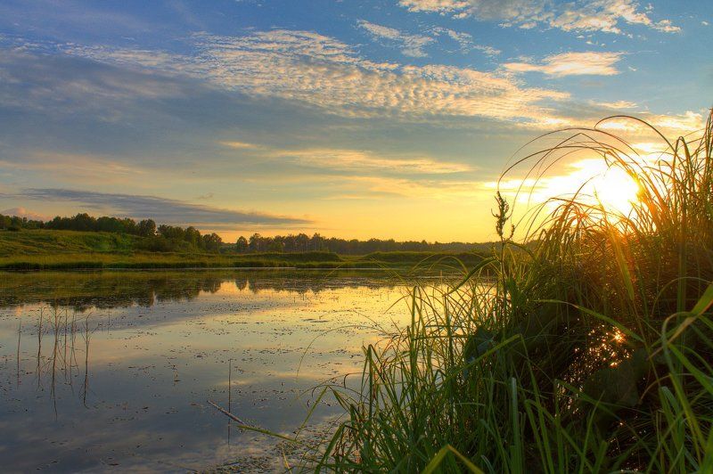 вечер, закат, лето, небо, облака, пейзаж, природа, река, солнце, трава Июльский закатphoto preview