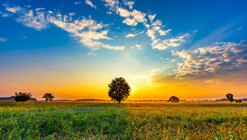 field, poland, morning, landscape, haze, cloudscape, beautiful, trees, cereal Morning on fieldsphoto preview