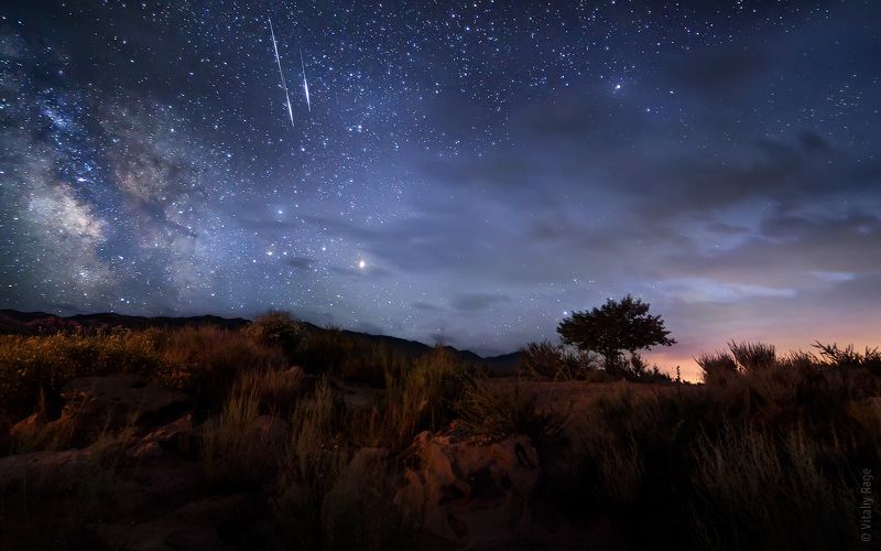 киргизия, иссык-куль, ночь, сова, млечный путь Про сову и метеоритыphoto preview