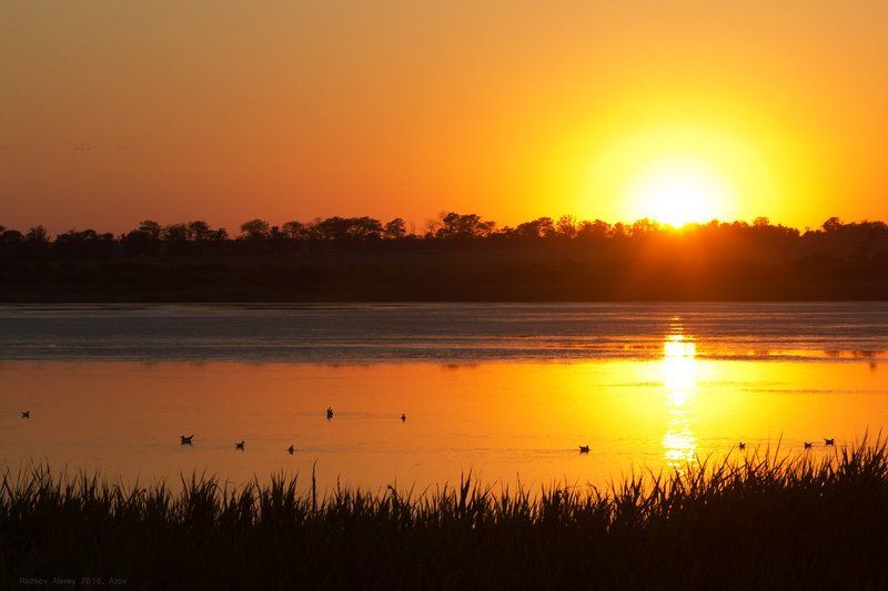 Лиман, озеро, водоем, закат, вечер, птицы, утки, чайки, контуры,  Заповедный закатphoto preview