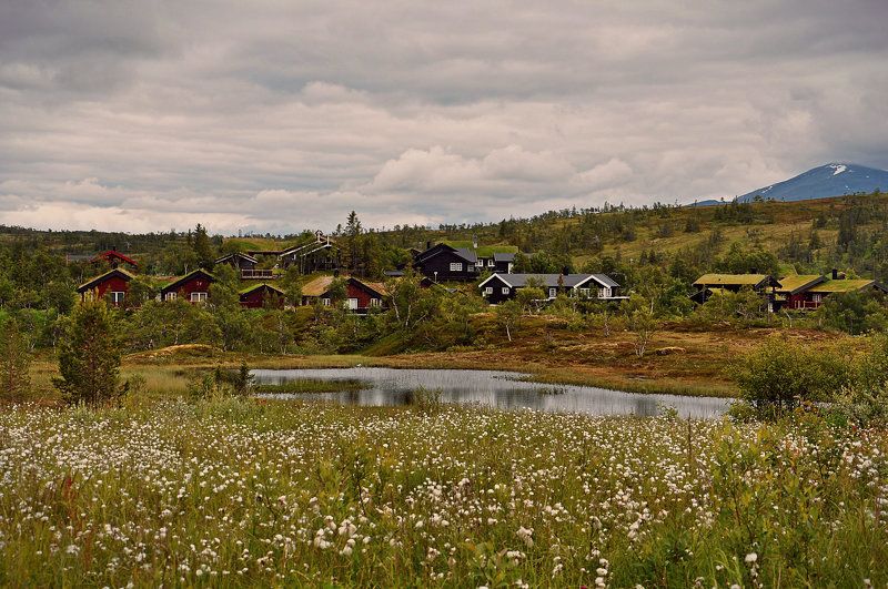 Норвежские домикиphoto preview